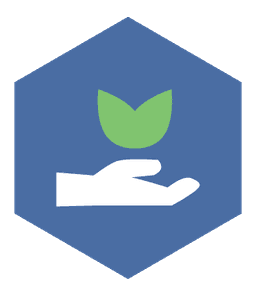 Icon 1